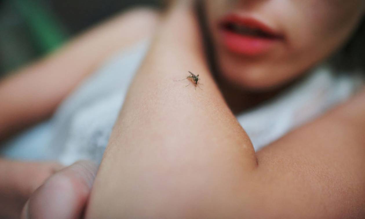 Γιατί σε προτιμούν τα κουνούπια; Η απάντηση στο βασανιστικό ερώτημα