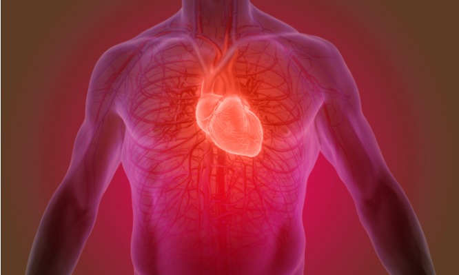 Πώς το υψηλότερο μορφωτικό επίπεδο σχετίζεται με μειωμένο κίνδυνο καρδιακής προσβολής και εγκεφαλικού