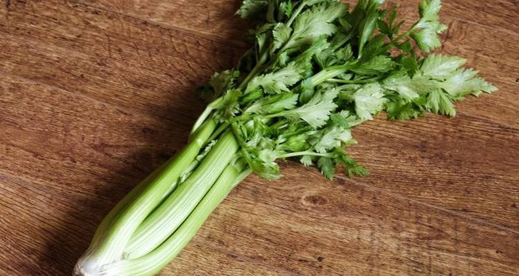 Σέλινο: Το λαχανικό με τις θεραπευτικές ιδιότητες
