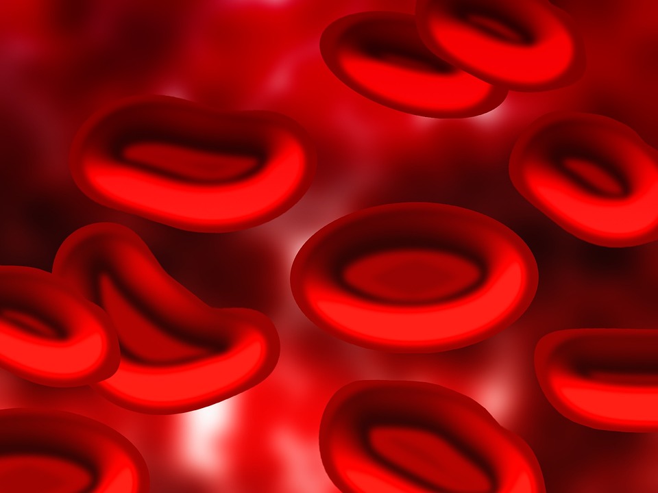 SOS! Οι κίνδυνοι της μετάγγισης πλάσματος αίματος 